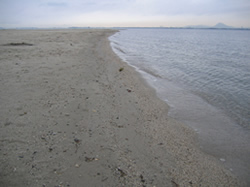柳が崎の砂浜